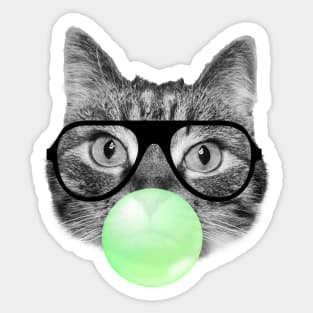 Cute fluffy kitten and green bubble gum Sticker